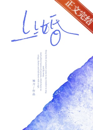 《上上婚》作者：袖刀【完结】