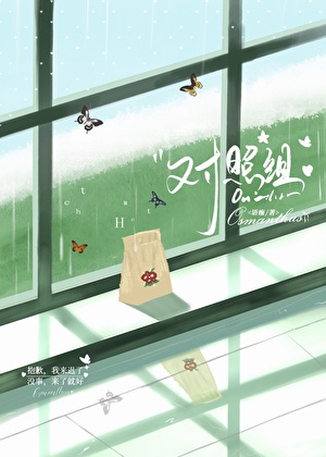 《对照组[男暗恋]》作者：语痂【完结】