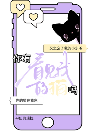 《你有看见我的猫吗》作者：仙贝瑞拉【完结】