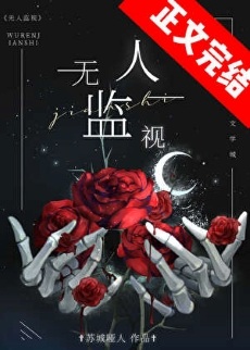 《无人监视》作者：苏城哑人【完结+番外】