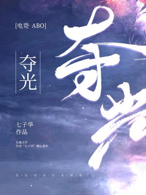 《夺光》作者：七子华【CP完结+番外】