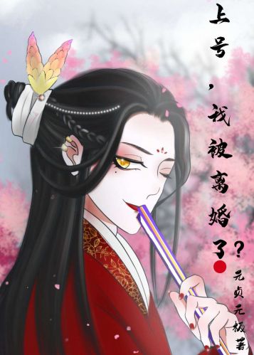 《上号，我被离婚了？》作者：元贞无极【完结】