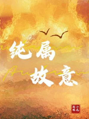 《纯属故意》作者：荆棘小花【CP完结】