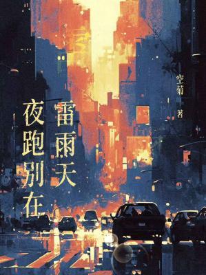 《夜跑别在雷雨天》作者：空菊【CP完结+番外】