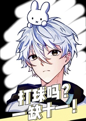 《（综漫同人）我真的只是喜欢球而已》作者：高二糕【完结+番外】