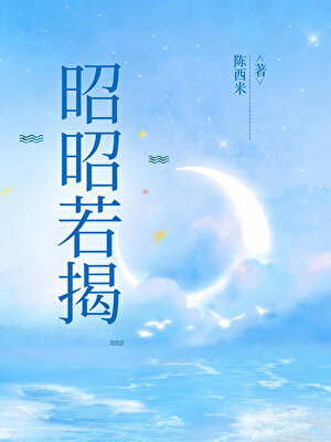 《昭昭若揭》作者：陈西米【完结+番外】
