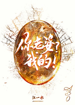 《你老婆？我的！》作者：江一水 【完结+番外】