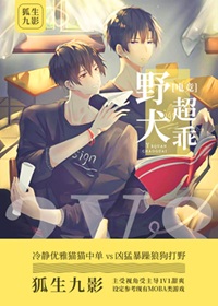 《野犬超乖[电竞]》作者：狐九曦【完结+番外】