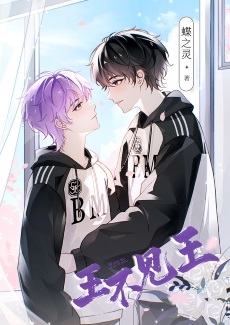 《王不见王（电竞）》作者：蝶之灵【完结+番外】