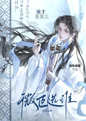 《微臣选谁谁才是皇上》作者：消失绿缇【完结+番外】
